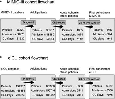 Machine Learning Techniques in Blood Pressure Management During the Acute Phase of Ischemic Stroke